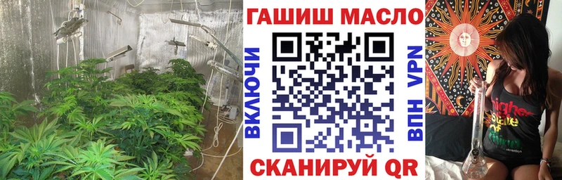 ТГК Wax  Ладушкин 